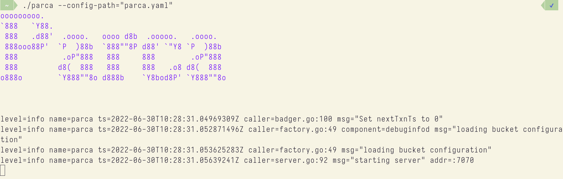 Parca startup logs